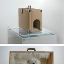 Dog House 이미지