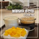 봄을담아