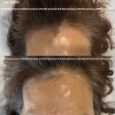 대신모토피아 이미지