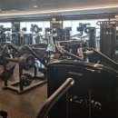 스카이 피티 이미지