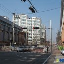 원일초등학교 앞 이미지