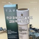 743 | TAE743) 민감한 피부에 좋은 감태 엑소좀 수분 진정크림 솔직후기