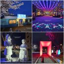 월화공원(부흥마을) | 강릉 월화거리 야경명소 강릉여행 가볼만한곳