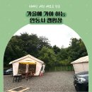 낙동강수련원 캠핑장 | 가을에 가야 하는 안동시 캠핑장