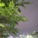 유태네 농장 이미지