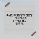 독스캣 강아지고양이 수원점 | 믿을 수 있는 분양, 당신의 반려를 책임질게요