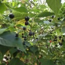 다찌스테이 이미지