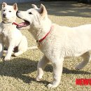 명월1리 이미지