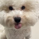 추석 잘보내세용 여러분덜
