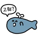 TOP MOTORS 이미지