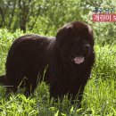 개린이보호구역 이미지