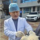진도개메디컬센터 이미지