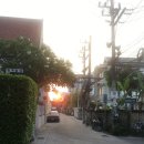 코끼리 | 태국 치앙마이 코끼리 보호소 후기