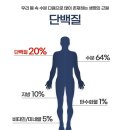 에/버/그/린 오/리/진 초유 산양유 단백질 이미지