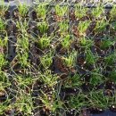 금촌농약사 이미지