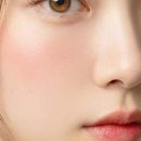 리 래쉬 스튜디오