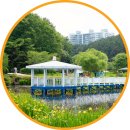 선암호수공원 소공연장 화장실 | 울산 선암호수공원 샤스타데이지 명소 개화상황 5월 드라이브 코스