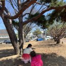 황성공원 | 경주 공원, 아이와 나들이 하기 좋은 경주 황성공원