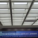 정자2동 행정복지센터 소회의실 | 학교 밖 청소년 출신 변호사의 '학교를 떠나면 배울 권리도 사라지나요?' 국회 정책 토론회 참석 후기