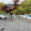 물안개 오토캠핑장 이미지