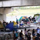 (구)김화교 이미지