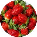 통미농장 | 설향 딸기 특징·효능·고르는 법 - 화순 유기농 딸기농장