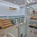 멍냥이 스토리 이미지