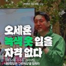초록세탁
