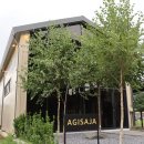 아기애견 이미지