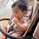 배곧퍼스트치과의원 이미지