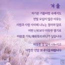 중천금 이미지