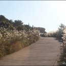 승마공원 이미지