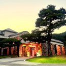 휘트니스클럽더캐슬 | 여주 골프장 캐슬파인GC 1부 코스공략 라운딩 후기 조식 이벤트 + 어뉴골프웨어 착장까지 완벽