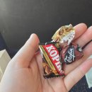 의정슈퍼 | [25년 9월 둘째 주] 남자배구 할래말래?할래말래? 애매하긴해