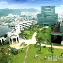 대구보건대학교 이미지