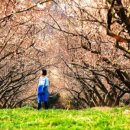 아름 태양광발전소 이미지