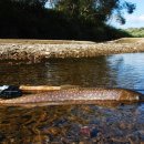 구만리 어룡동 이미지