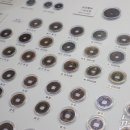 개인(김영자) 이미지