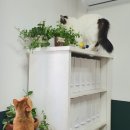 훌륭한회사 이미지