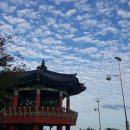 달마루 - 전주시 완산구 최명희길 16-5 | 달마루