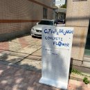 대구 봉산동 신상 브런치 카페 콘크리트 플라워 후기