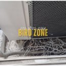 비둘기세탁소 이미지