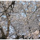 무주공공도서관 이미지