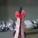 주성상사 이미지