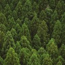 온천마을 이미지