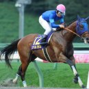 유니벨 | 나루카미, 코즈카타상 우승으로 첫 중상 획득