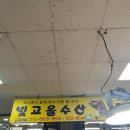 빛고을수산 네이버블로그