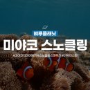 미야코지마 투어 | 파다미야코 PADA MIYAKO 드론으로 찍어주는 거북이투어 + 내가 만든 릴스