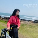 제주 산방산 근처 전기자전거 대여 &#34;꽃길만걷차&#34; 내돈내산 추천!