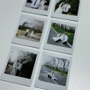 이브링 | 나의 웨딩기록:인천웨딩스냅[필카이브]스냅촬영후기